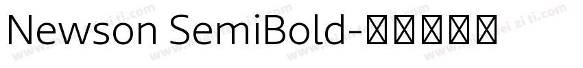 Newson SemiBold字体转换